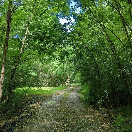 Maison Confortable Avec Jardin Privatif, Internet, Parking - Fr-1-653-112 * Agris